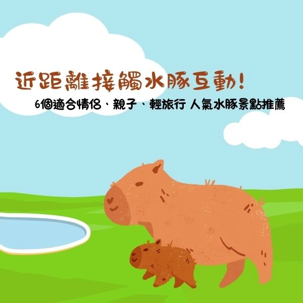 6個適合情侶、親子、輕旅行的人氣水豚景點推薦！近距離接觸水豚互動