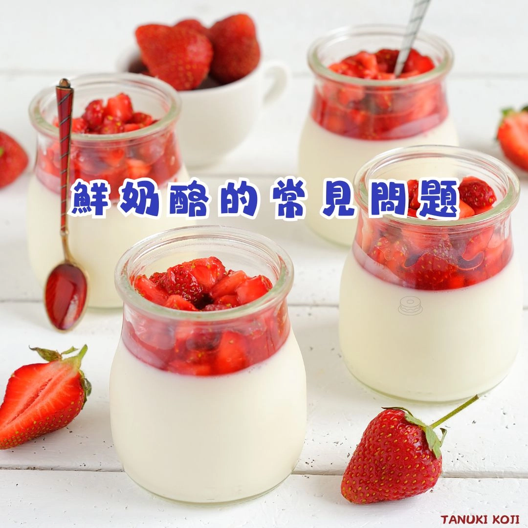 鮮奶酪的常見問題