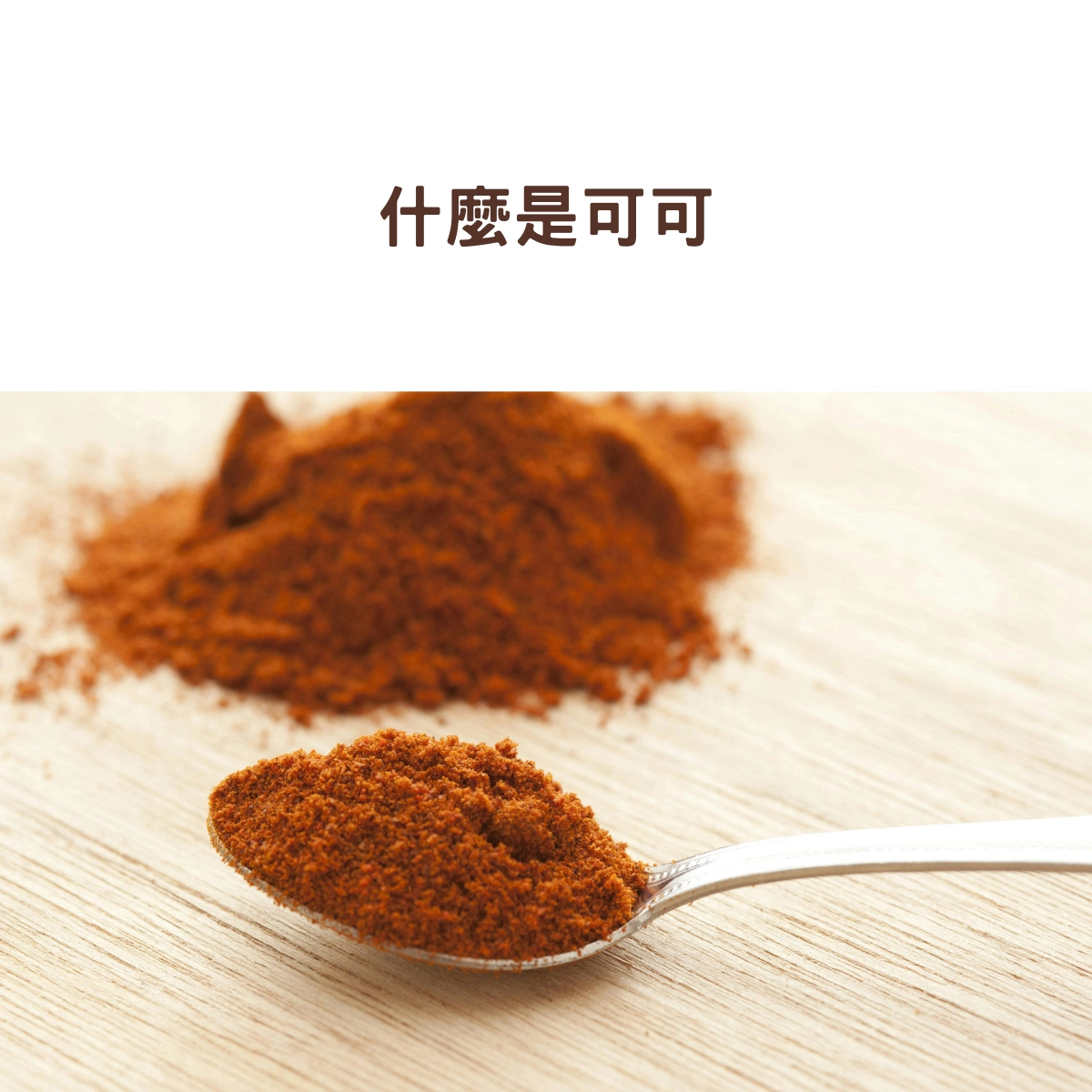什麼是可可?