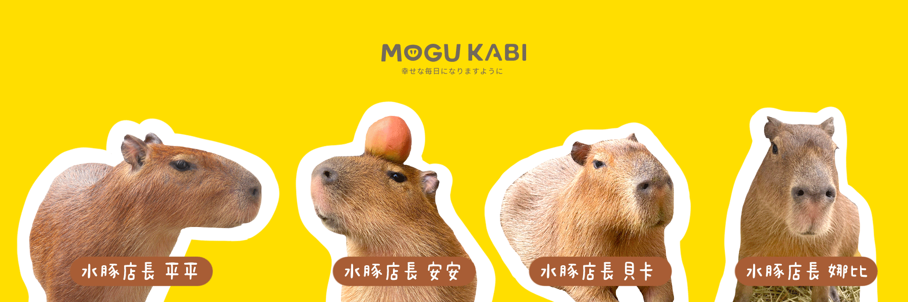 MOGU KABI水豚團隊